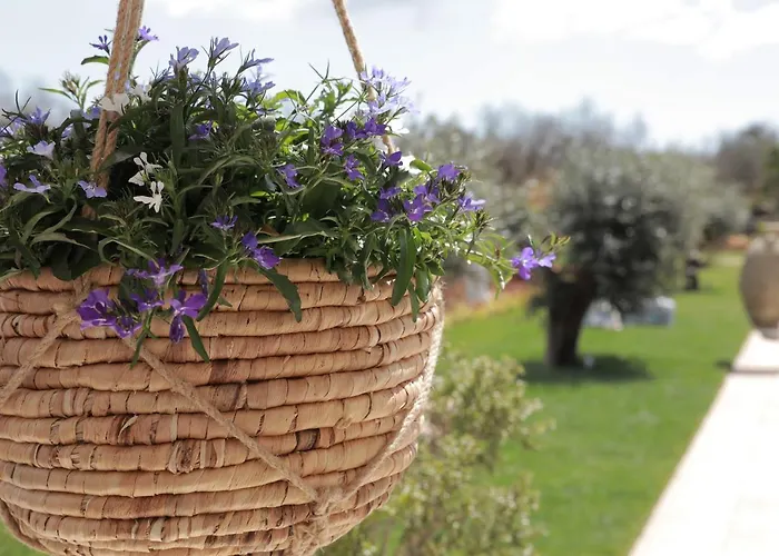 Tenuta Cesarina Casa vacanze