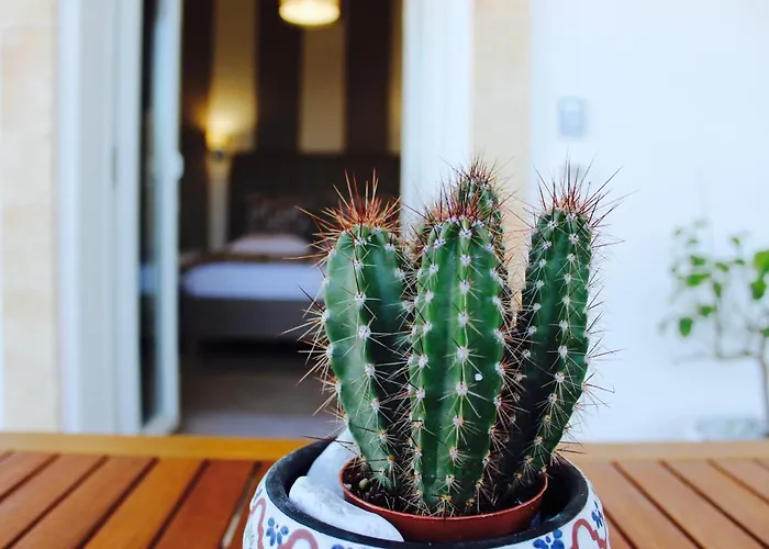 Tenuta Cesarina Alessano