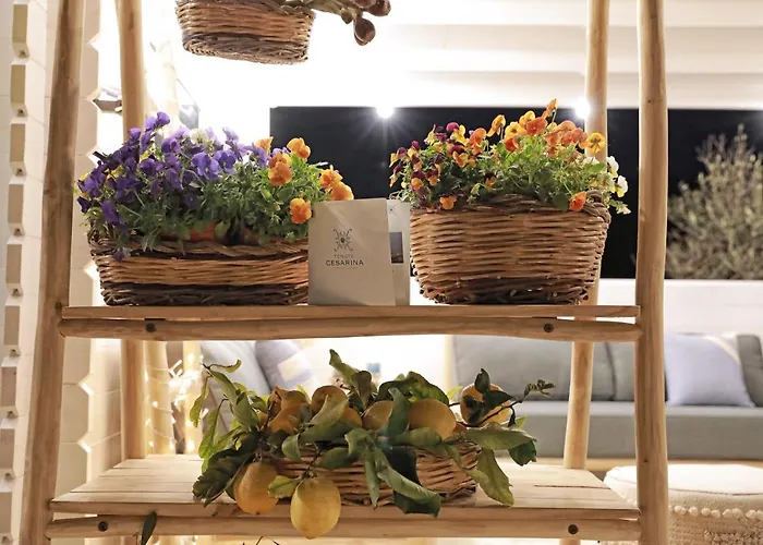 Tenuta Cesarina Casa vacanze *