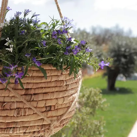 Tenuta Cesarina Holiday home