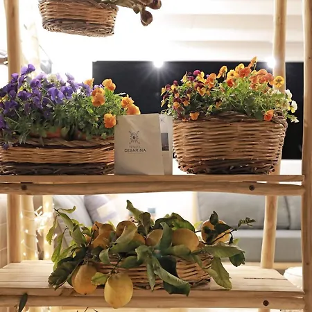 Tenuta Cesarina Holiday home *