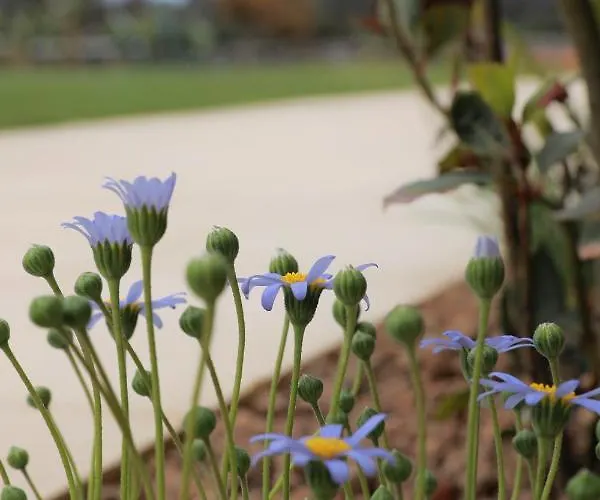 Ferienhaus Tenuta Cesarina