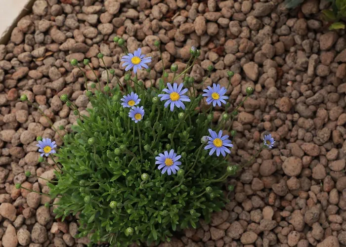 Tenuta Cesarina * Alessano